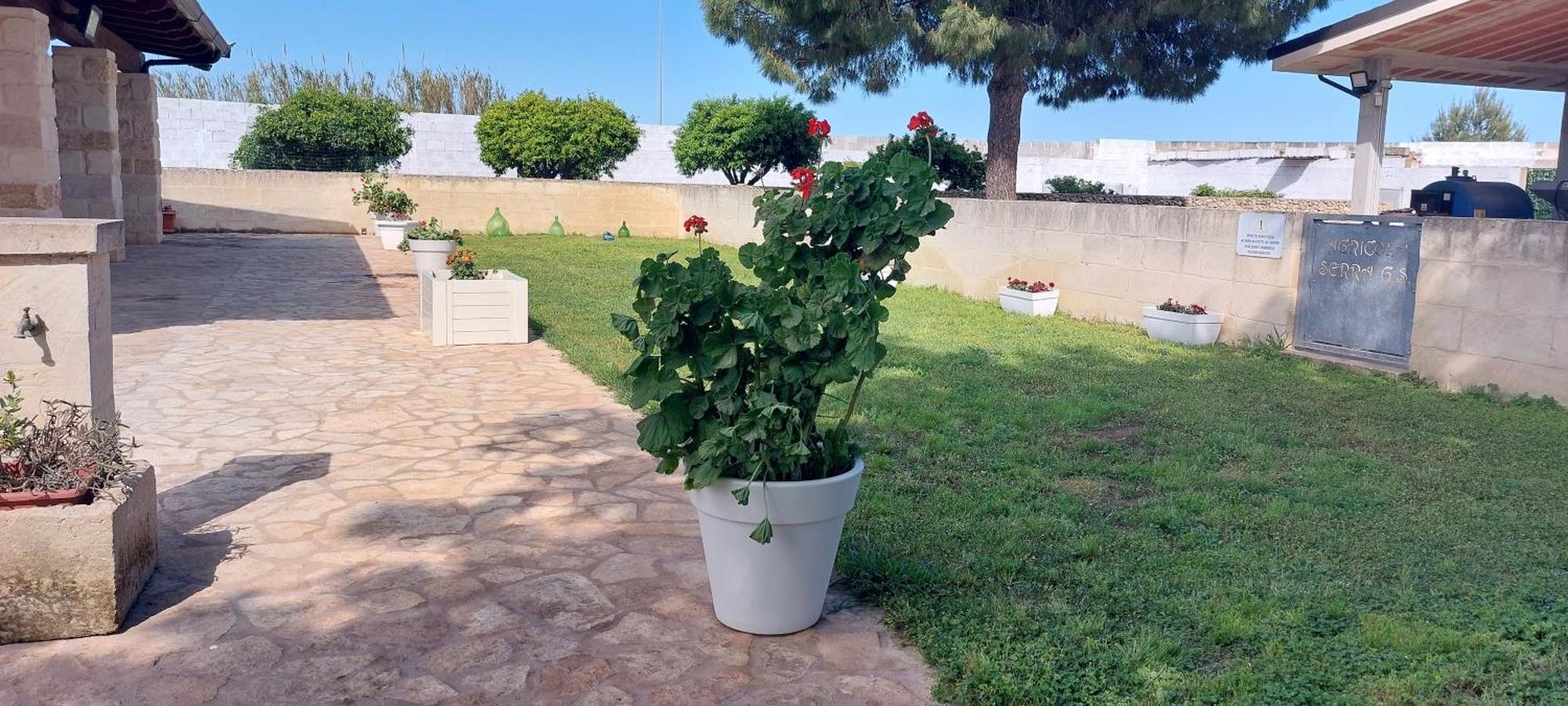 L'Aira Ecchia - Ospitalita Rurale Villa Lecce Buitenkant foto